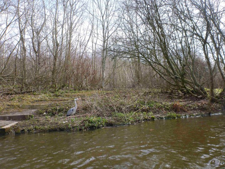 WinsfordFlash_Canal 011